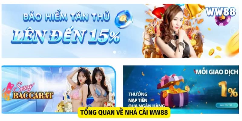 top-game-casino-online-duoc-yeu-thich-nhat-2024